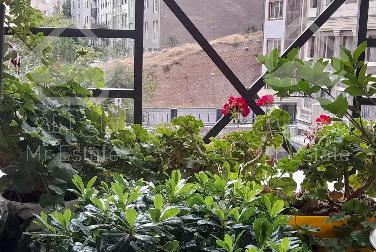 اجاره آپارتمان سه خوابه ۱۸۲متر ویو مشجر