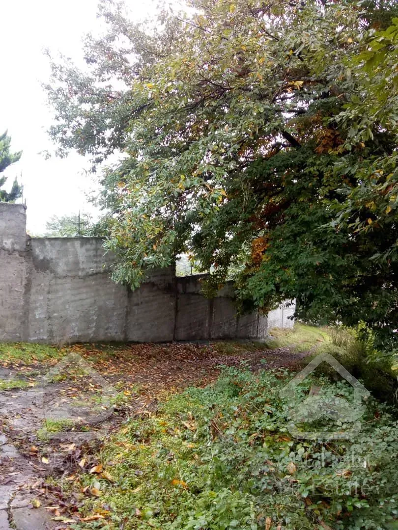 باغ ۱۳۰۰۰ متری در مازندران