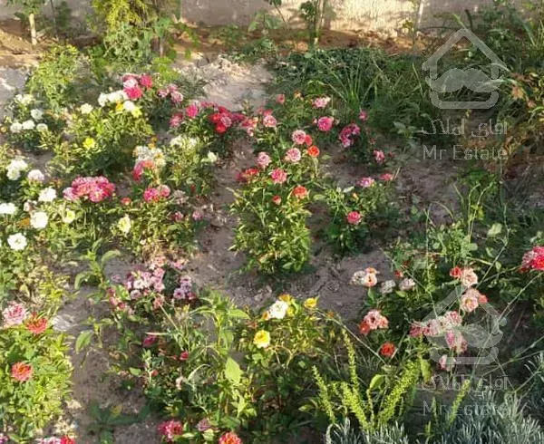 ۶۵۰ متر ویلا باغ شیک ابسرد