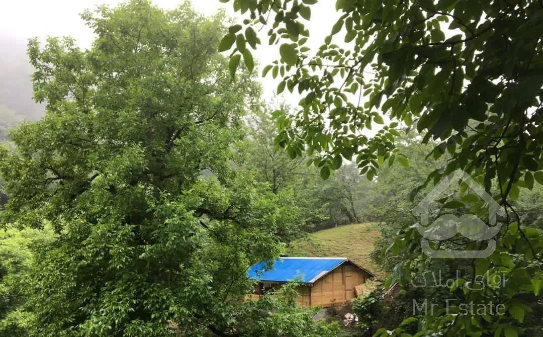 فروش خانه چوبی ییلاقی ۱۰۰۰متر