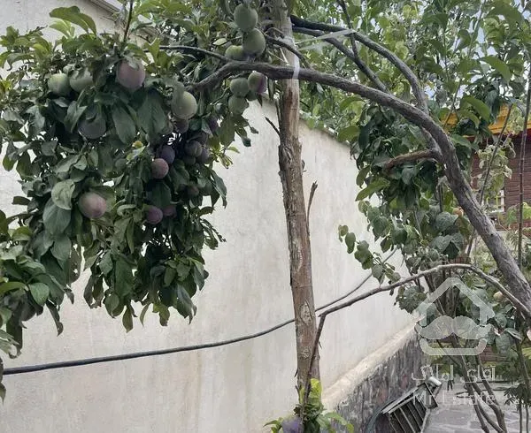 ویلا باغ دماوند جابان باغستان
