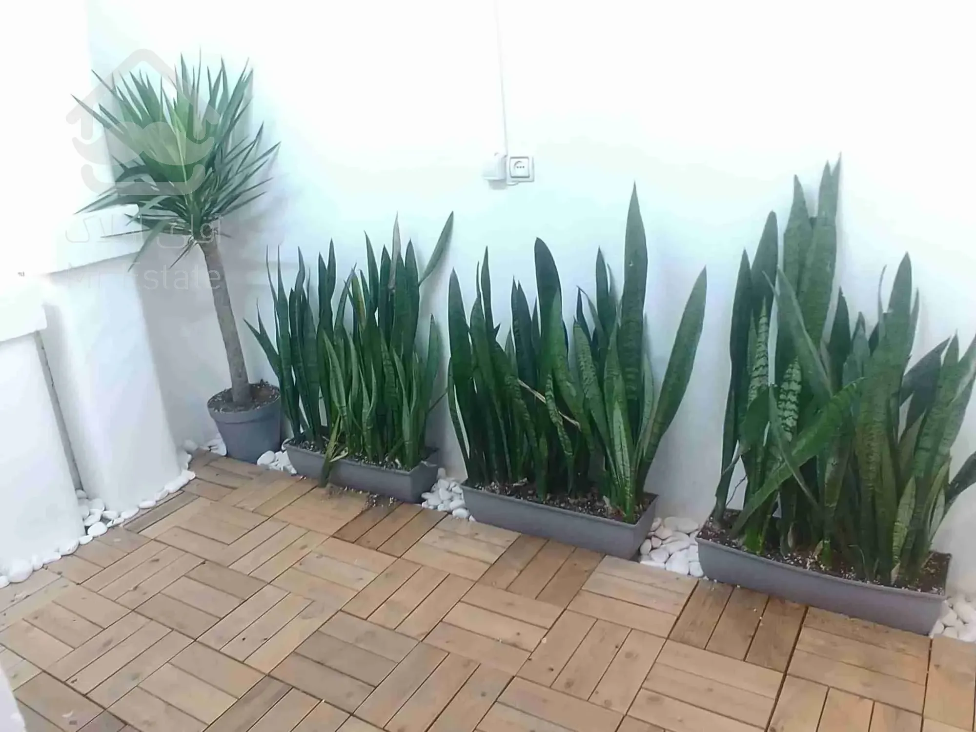 115 متر 2 خواب دولت قلهک