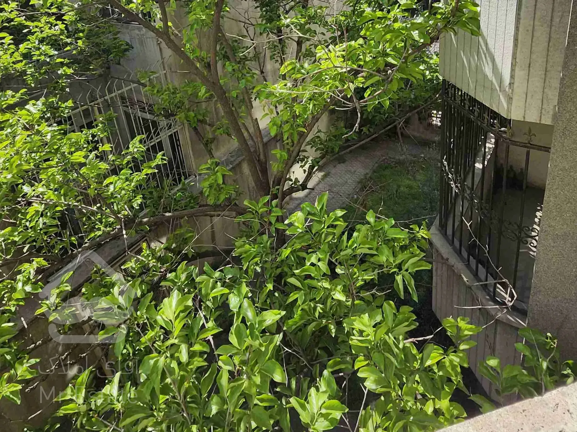 فروش آپارتمان ۱۴۱ متر ونک