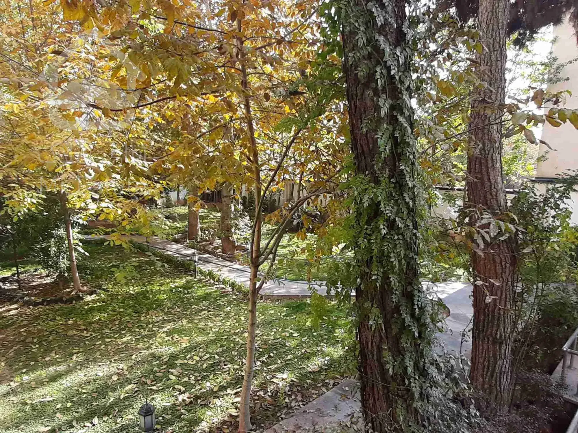 فرمانیه شرقی ۱۳۵متر / زیر قیمت/ تاپ لوکیشن