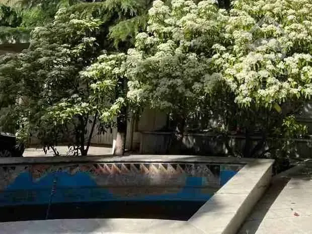 فروش کلنگی ۶۰۰متری دنج تجریش