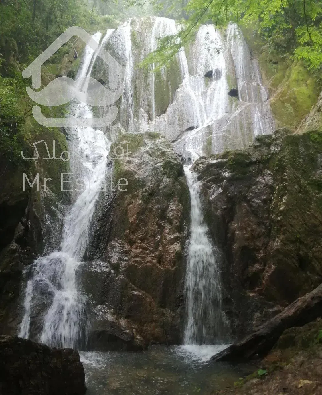 اجاره کلبه. سوئیت