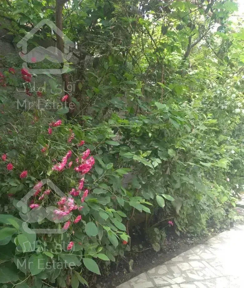 اجاره دوخوابه  دربستی  با  فوتبال دستی