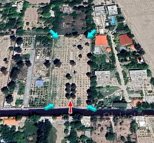 ۵۰۰۰ متر باغ ویلا ششدانگ تکبرگ مهرشهر کرج