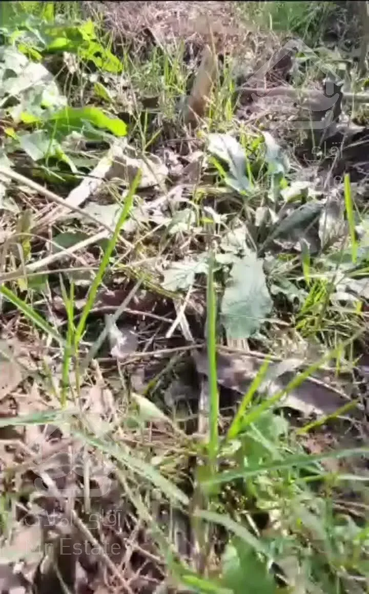 نصب و راه اندازی سیستم های حفاظتی و نظارتی