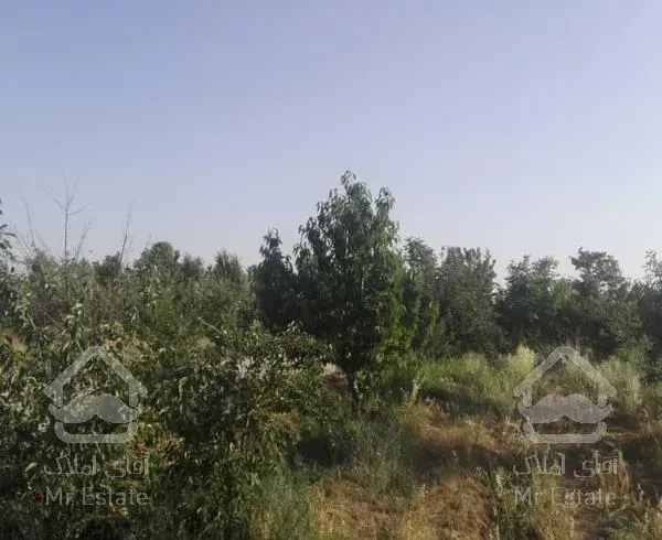 ۸۲۰ متر باغ میوه درکوهسار فروش ومعاوضه