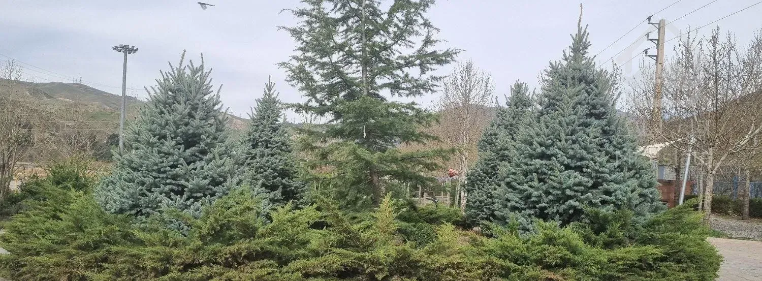 ویلایی با ۳طبقه مستقل سند تفکیک