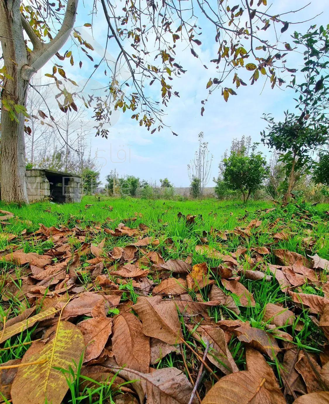 ویلا باغ روستایی ۱۷۰۰ متری  دنج با سند.نزدیک شهر
