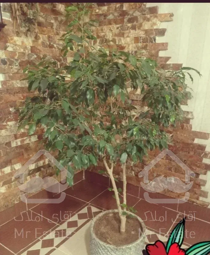 نصاب سنگ آنتیک و کاشی وصط کابینت