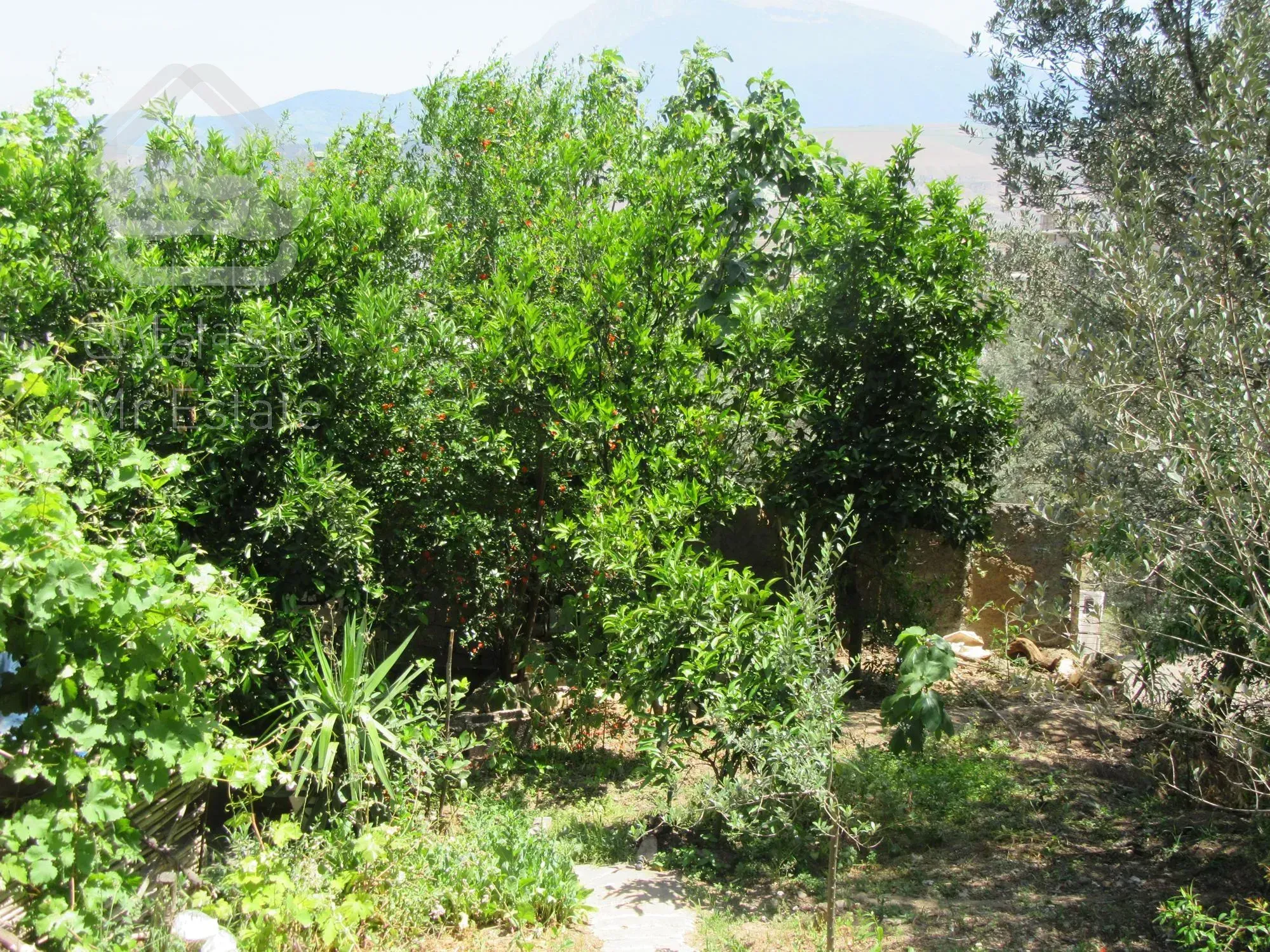 *ویلا باغ  با ویو کوه درفک   گیلان  شمال *