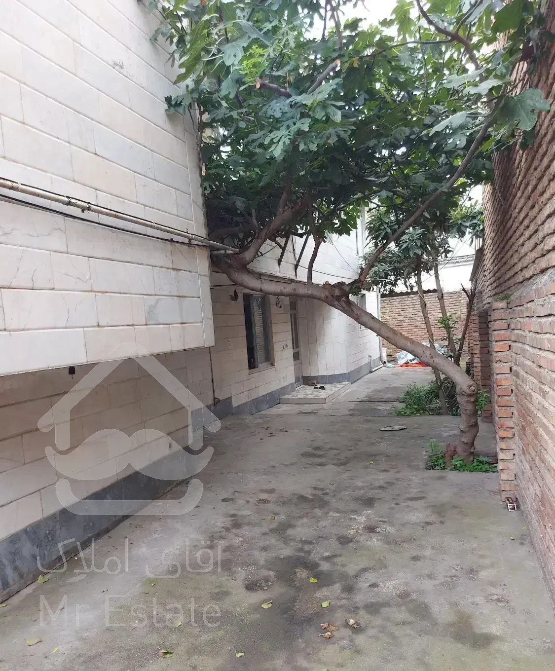 اجاره واحد حیاط دار