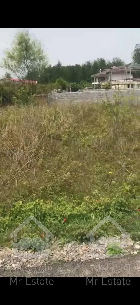 فروش زمين هزار متري در شيرود تنكابن