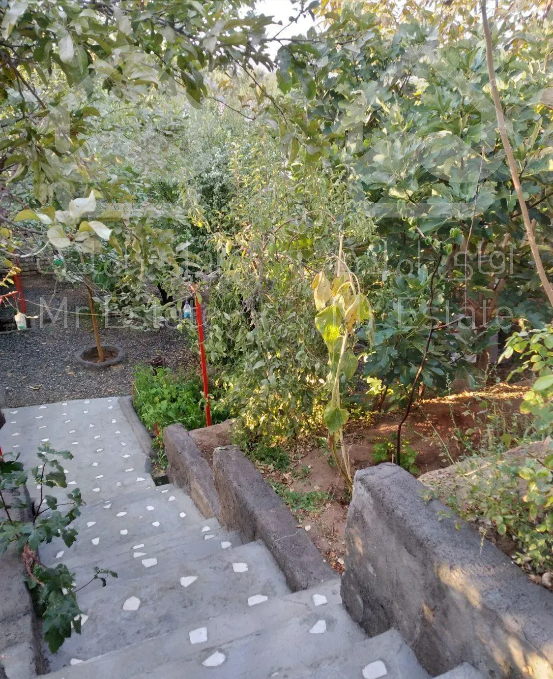 باغ ویلا اجاره