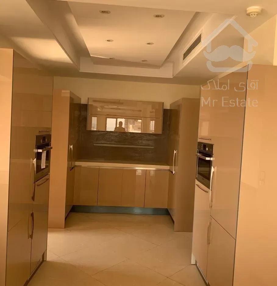 ۲۵۰متر/کامرانیه شمالی/۲پارکینگ/تراس چیدمان