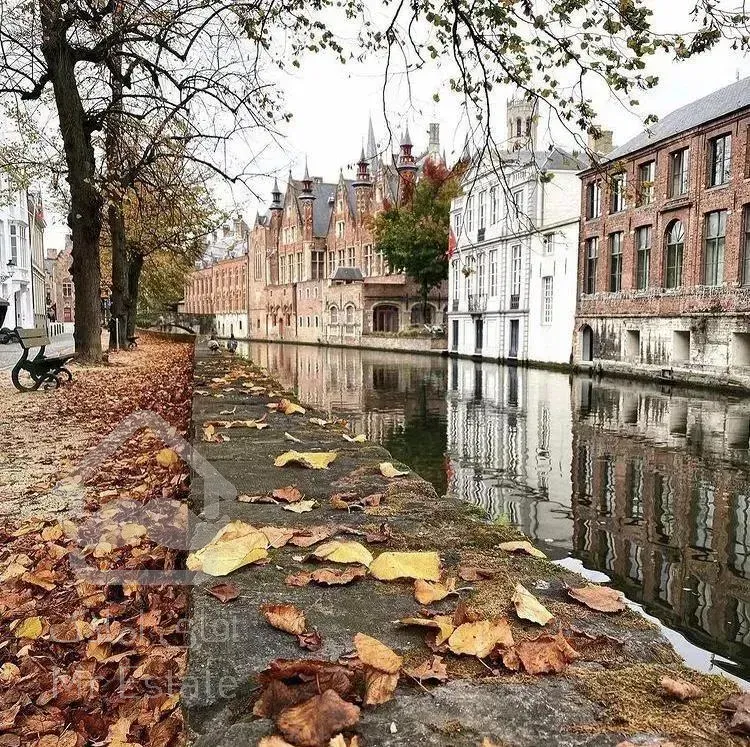 تجاری صاحبقرانیه ۲۷۰ متر