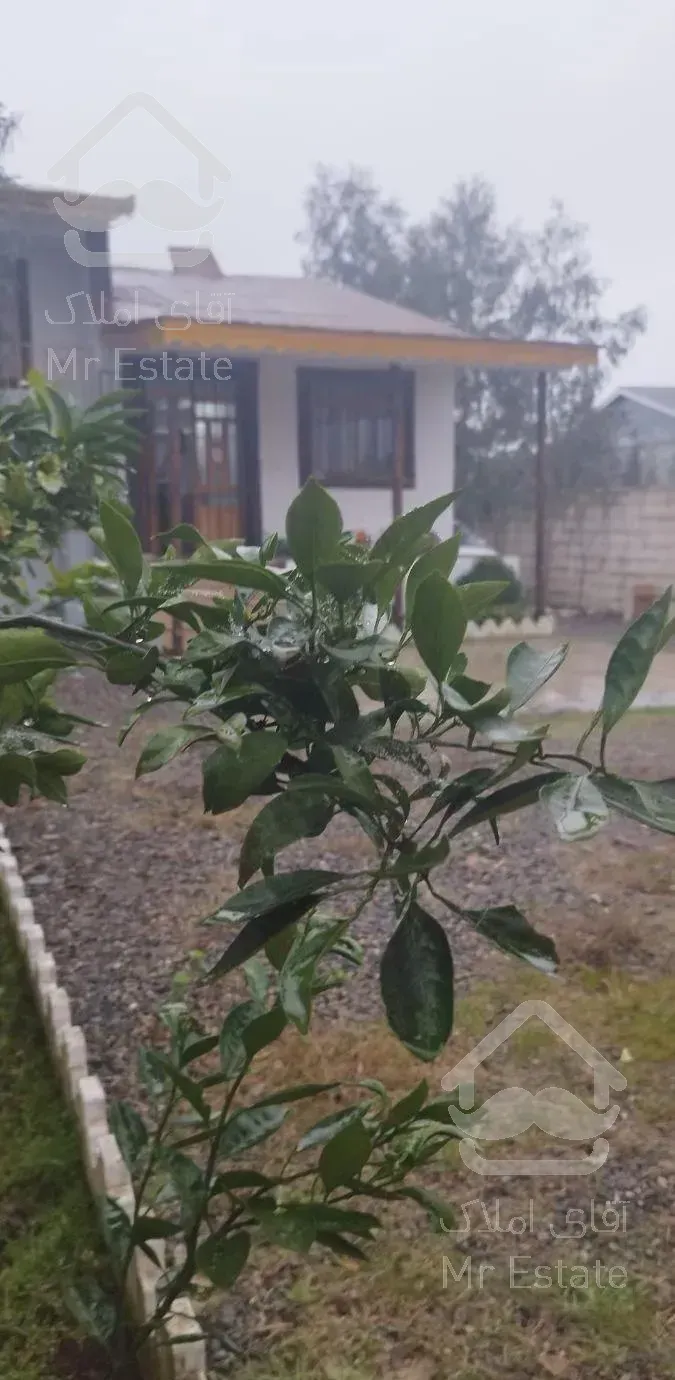 300مترزمین120متربنادوبلکس ویوجنگل کوه پایه ای