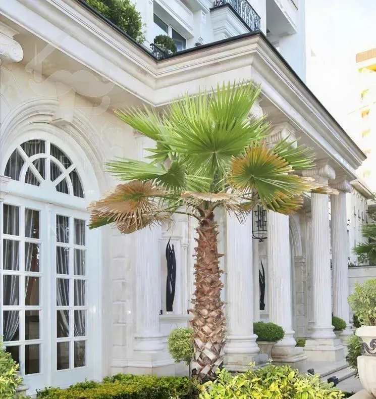 فروش ۳۵۰ متر صاحبقرانیه ویو بدون مشرف / قابل تهاتر