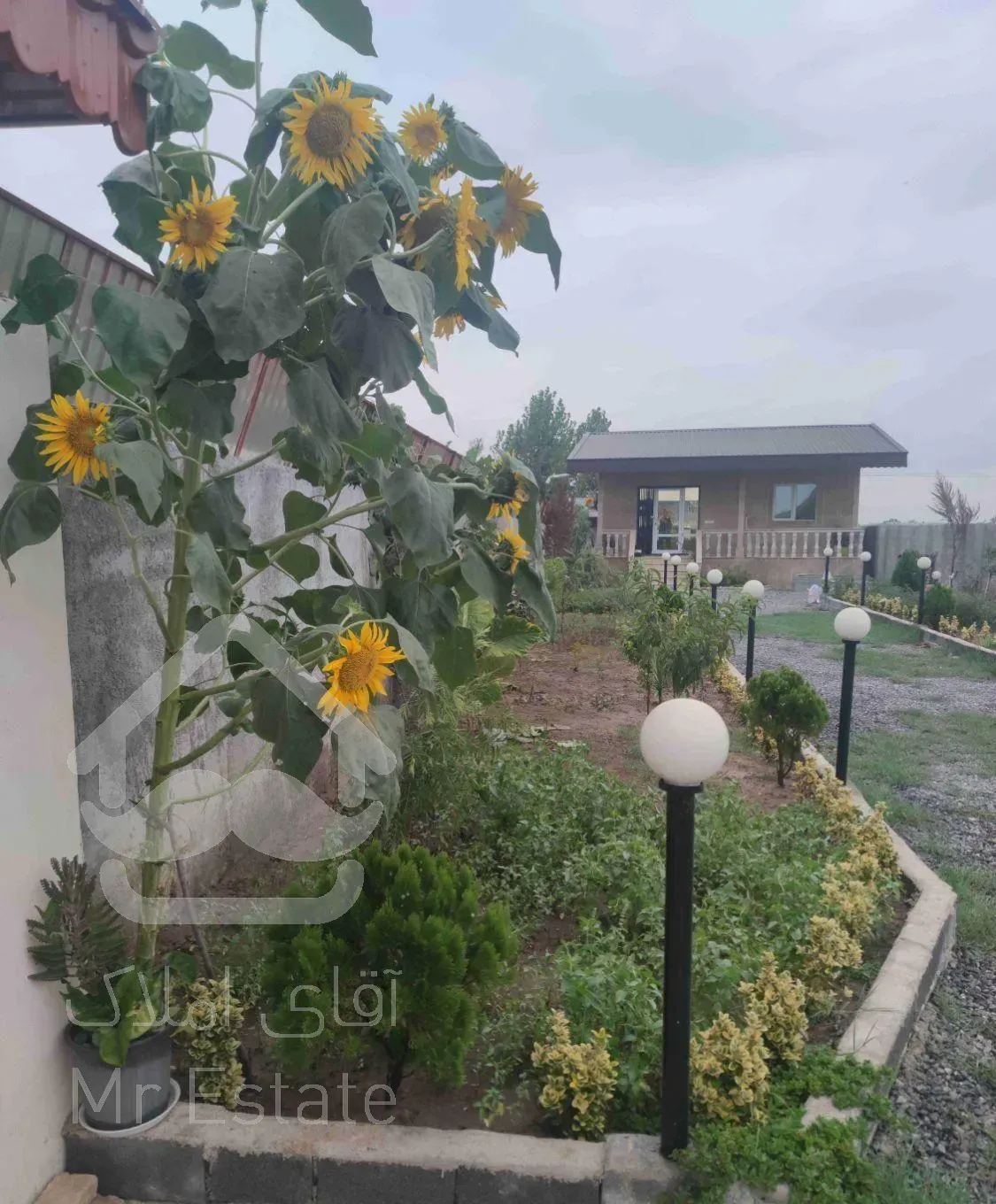 فروش یا معاوضه ویلا باغ