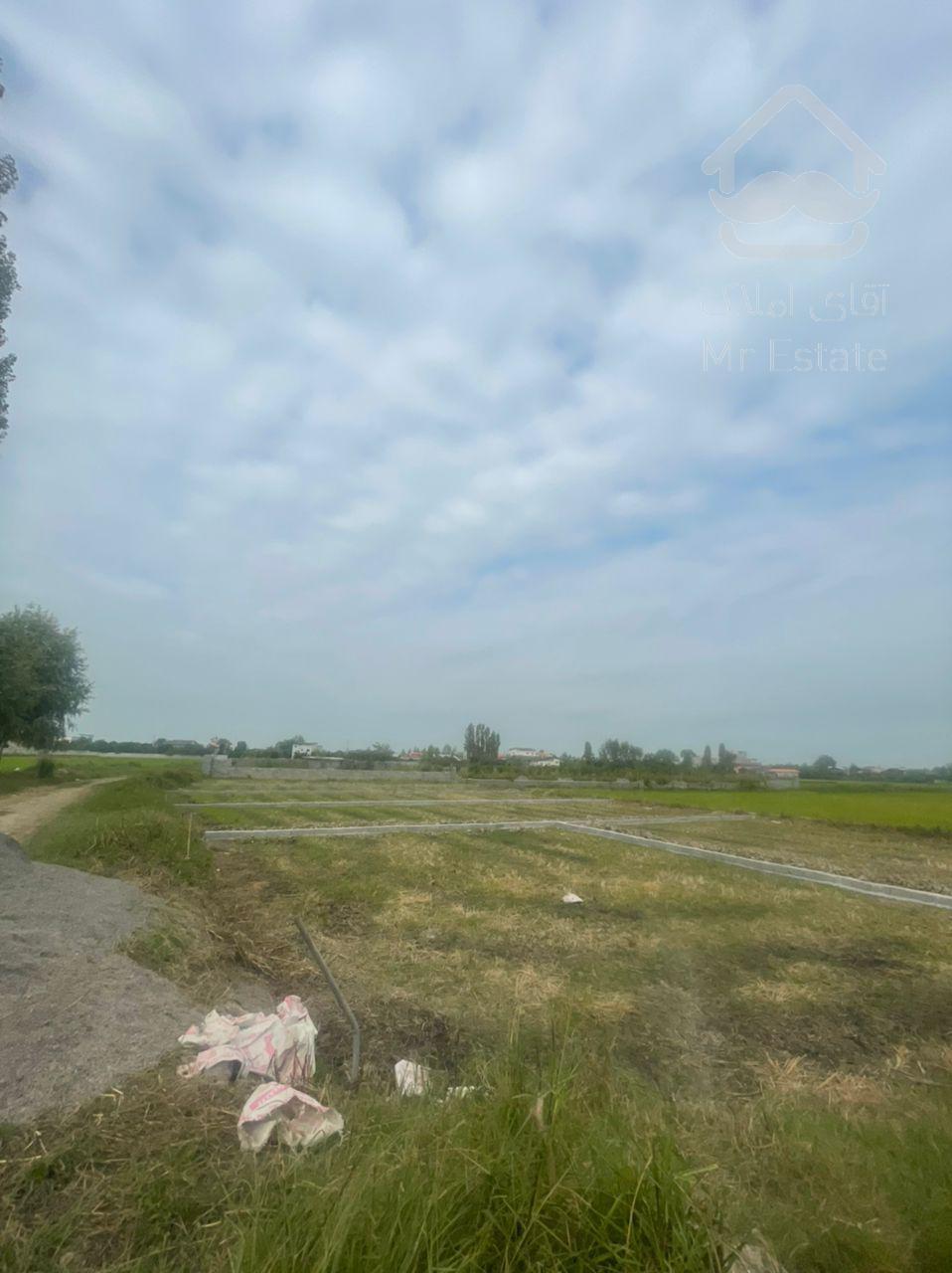 فروش فوری زمین زیر قیمت ۲۰۰ متر در جاده اوجی آباد