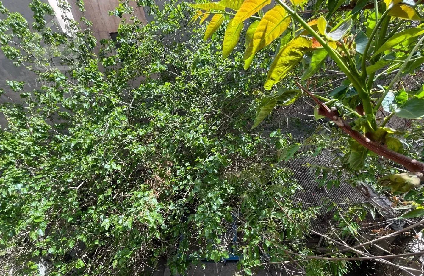 ۱۴۳مترطبقه دوم تخلیه سرمایه گذاری