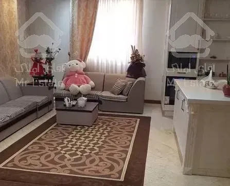 ۸۵ متر سازمان برنامه ۴ ساله سالن پرده خور