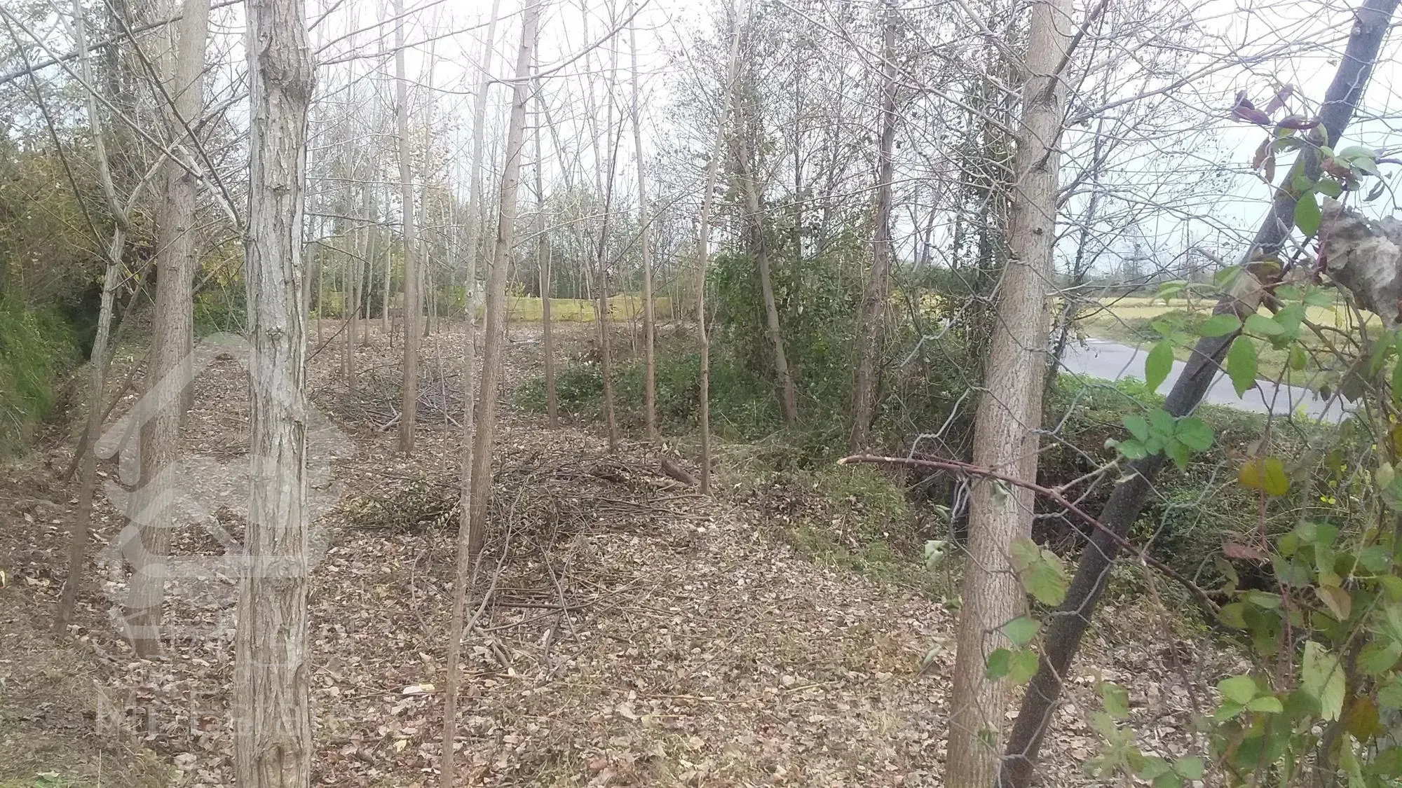 فروش فوری زمین مسکونی، در محل خوش آب و هوا و دنج