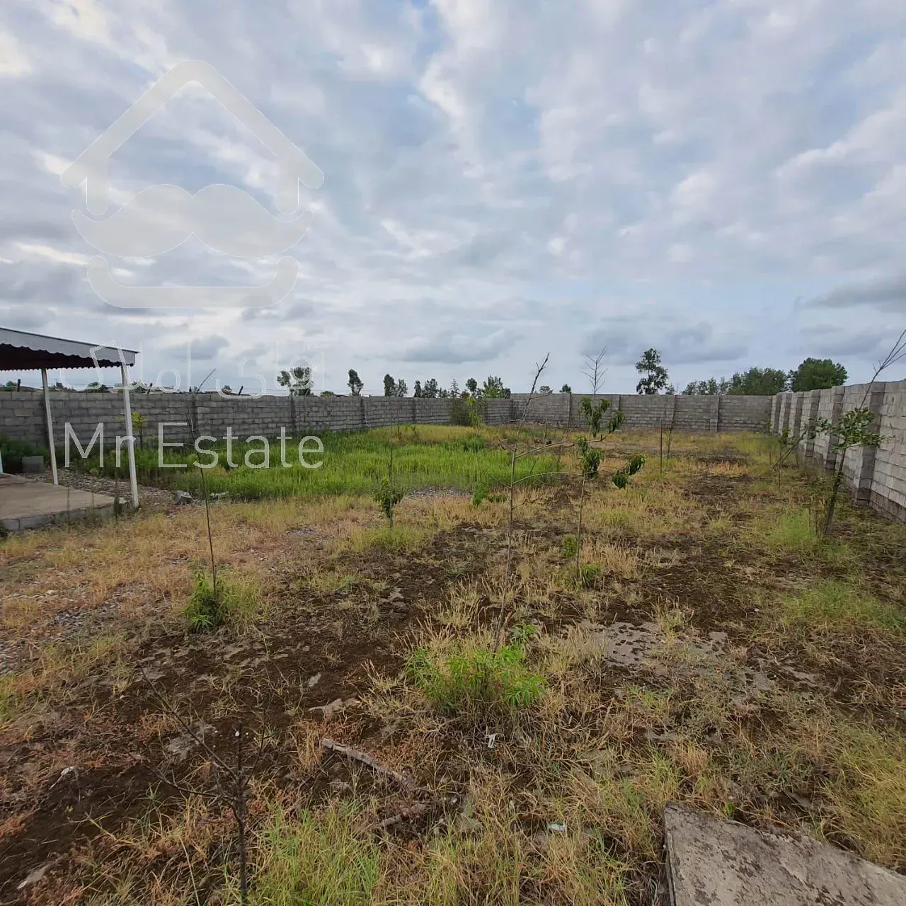 675 متر زمین ساحلی جهت ساخت ویلا