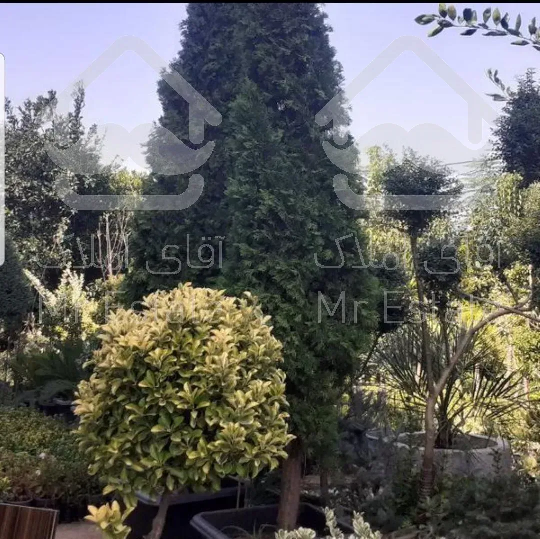 انجام کلیه امور فضای سبز ، ابیاری قطره ای ،روف گاردن