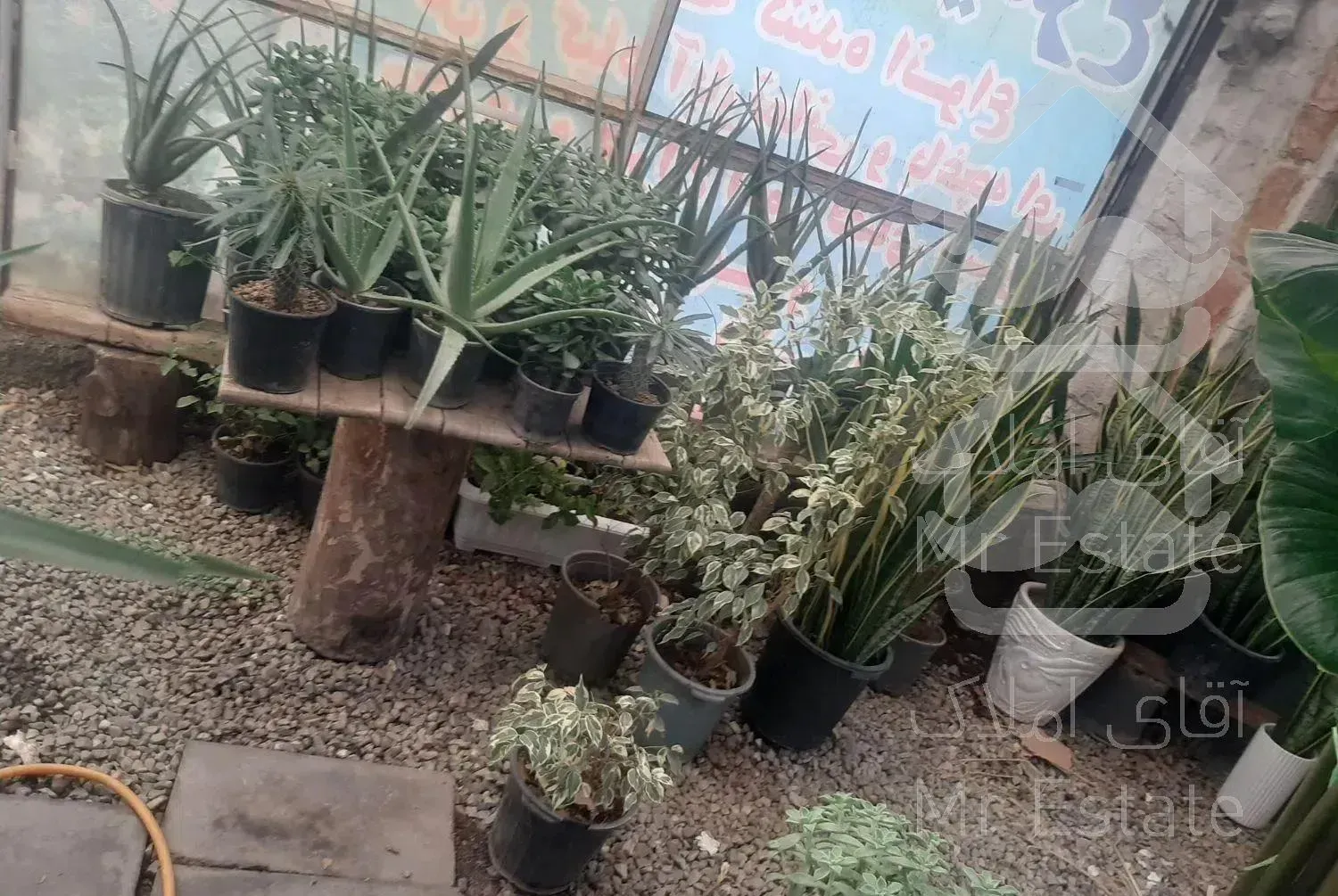 مغازه گل 50 متری