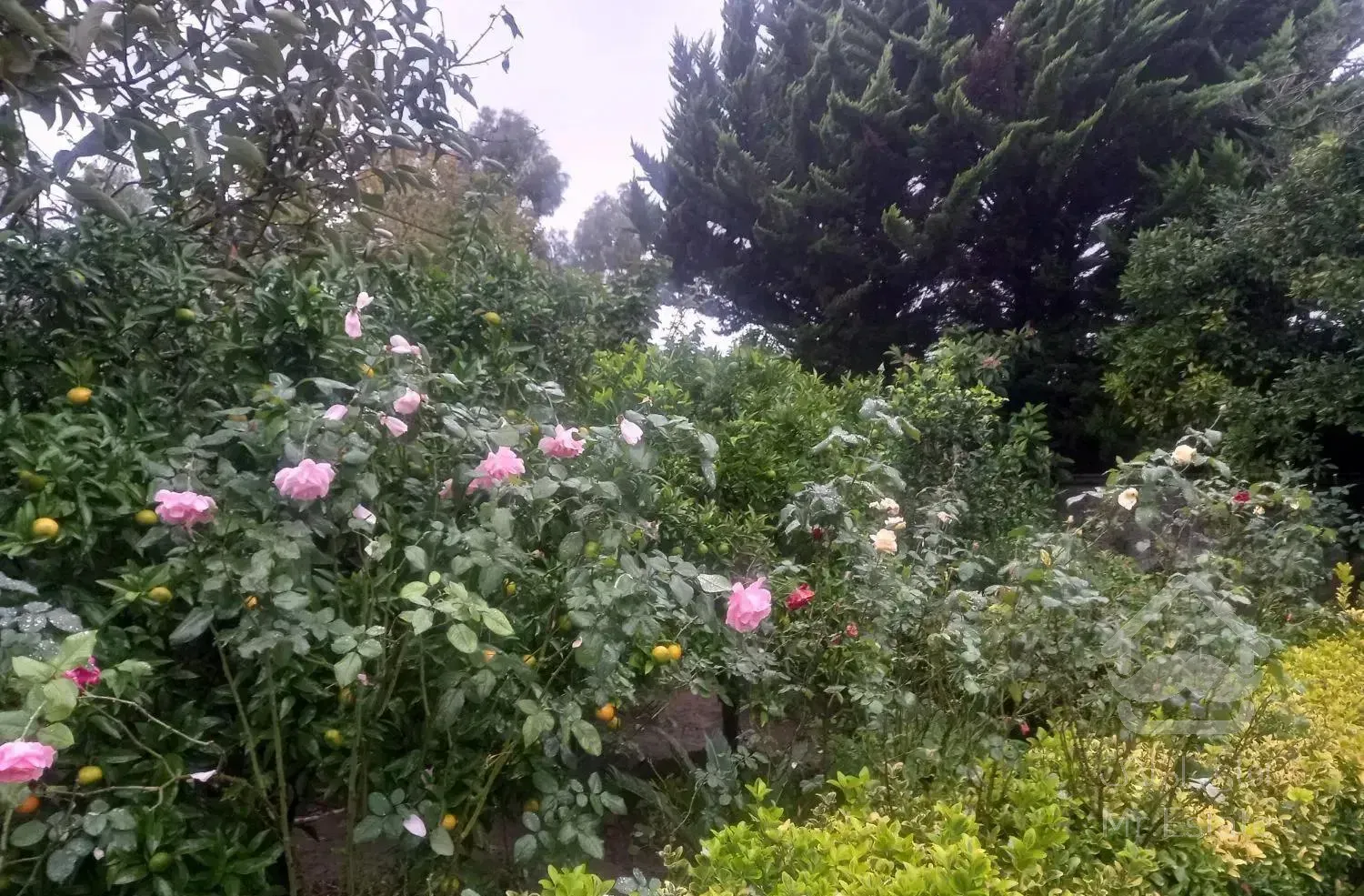 رهن و اجاره آپارتمان متلقو خ آرا