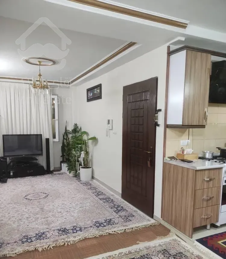 56 متر / خوش نقشه / طلا