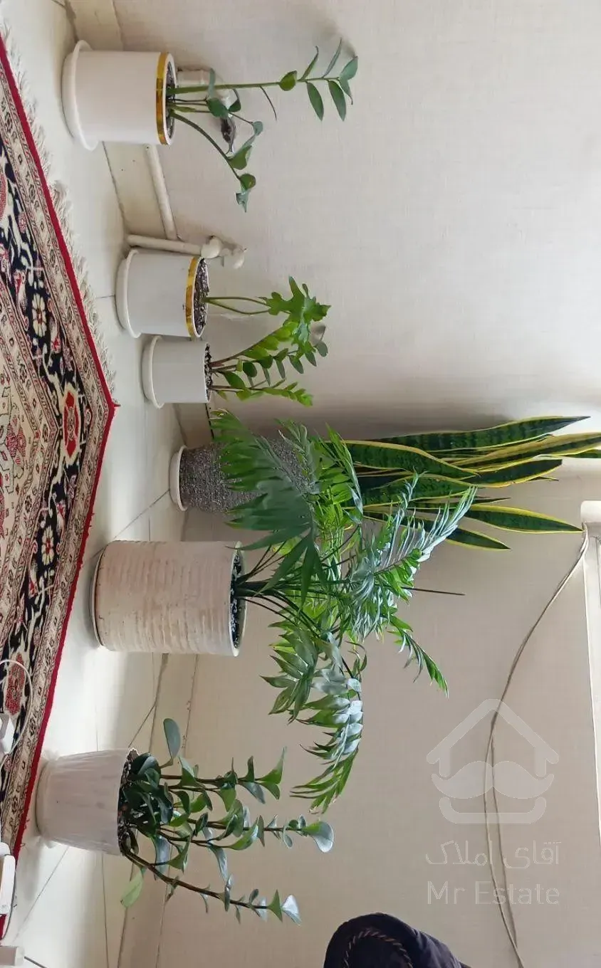 رهن واحد فول امکانات