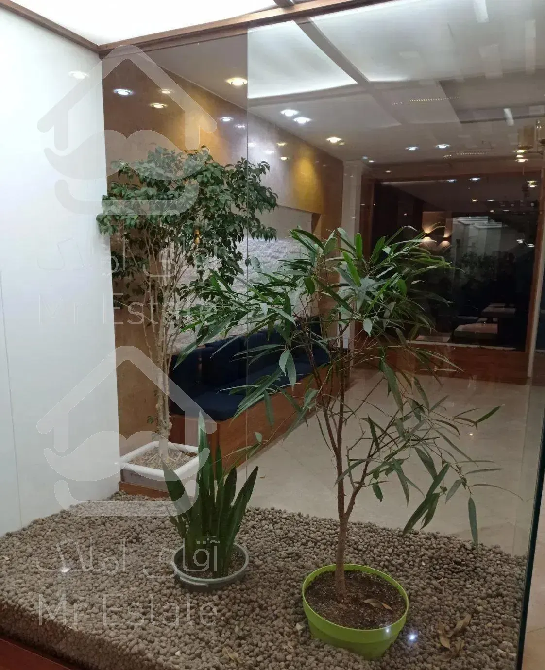 ۸۵متر  وردآورد سندتک برگ ویوابدی