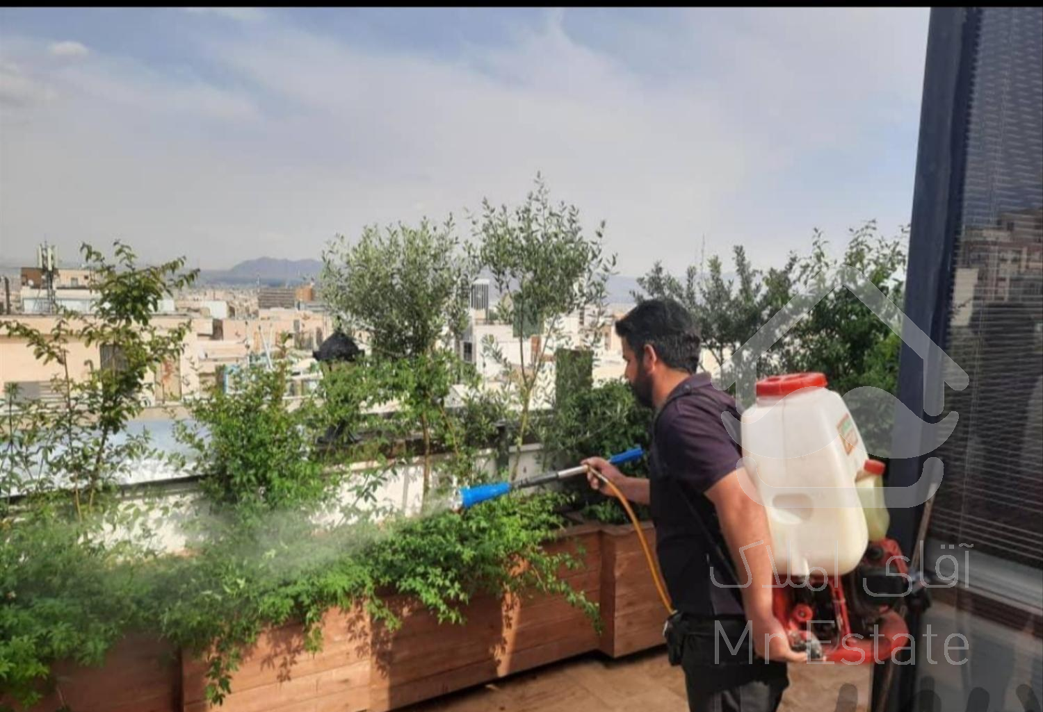 باغبانی سمپاشی هرسکاری در سراسر تهران بامهرضمانت