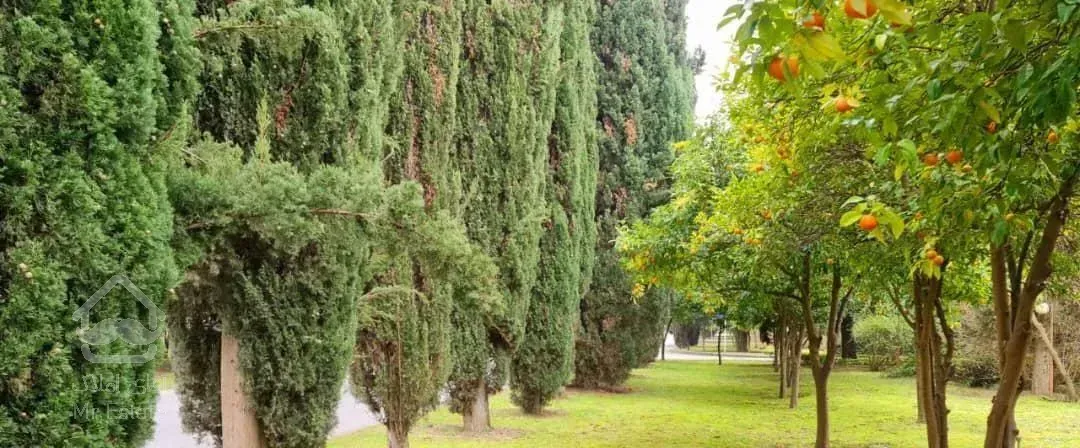 رهن و اجاره آپارتمان دریاکنار