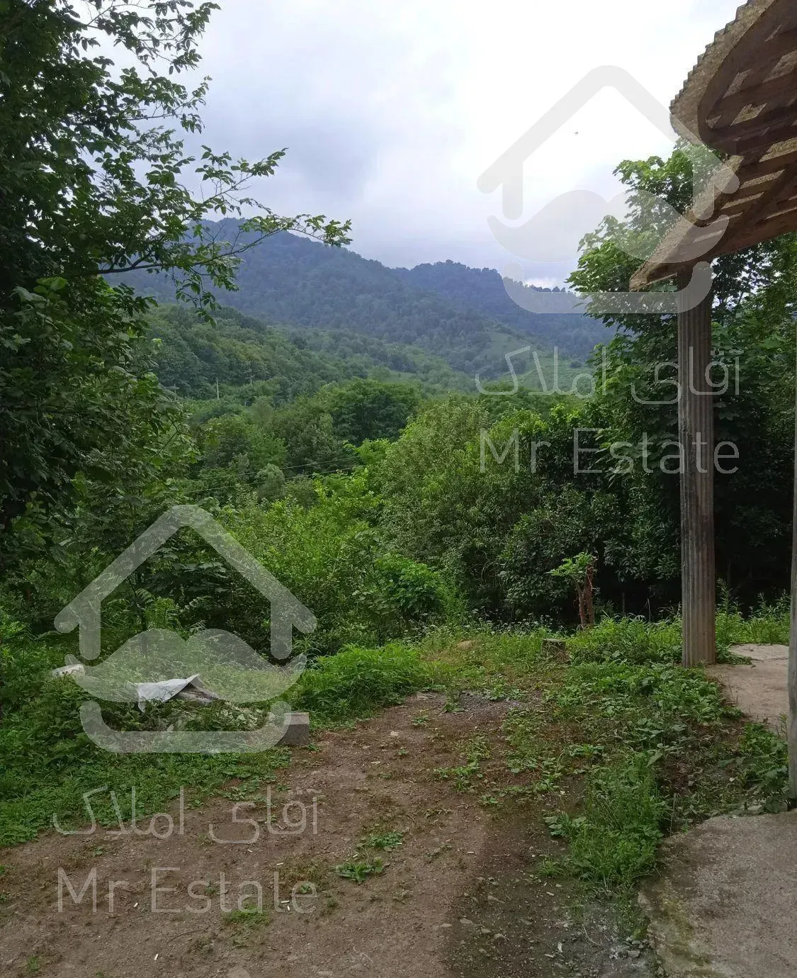 ویلا جنگلی بر آسفات دیماسرا