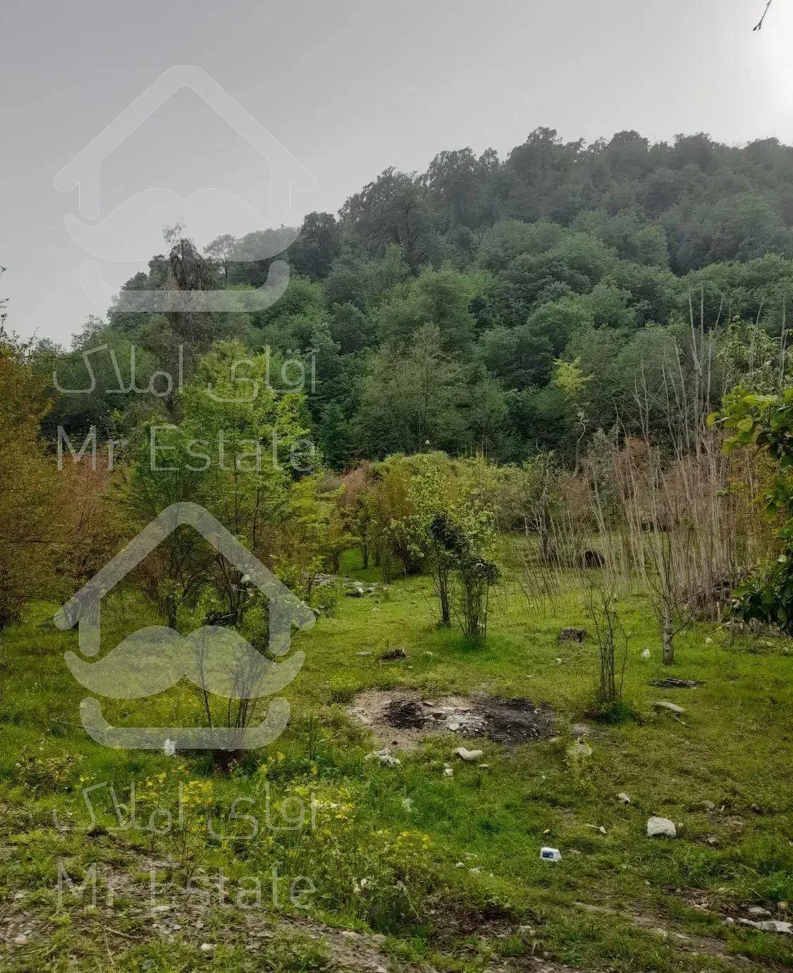 ویلا جنگلی دربست وصل به جنگل ورودخانه