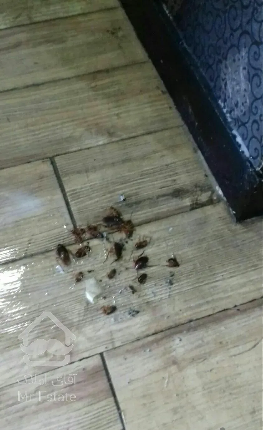 سمپاشی جاده ساوه سم پاشی قدیمی باضمانت