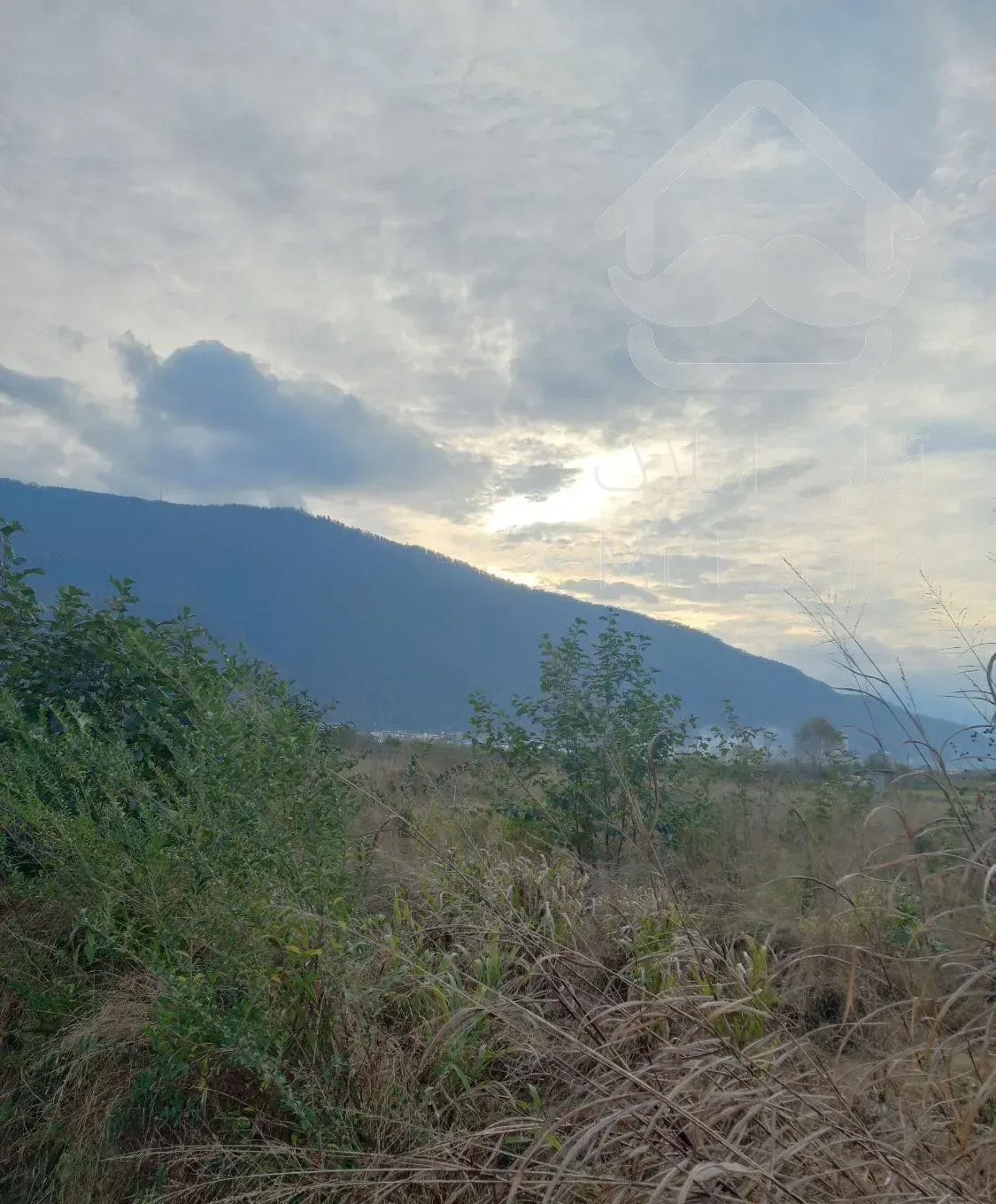 رهن ویلا هچیرود نمک آبرود