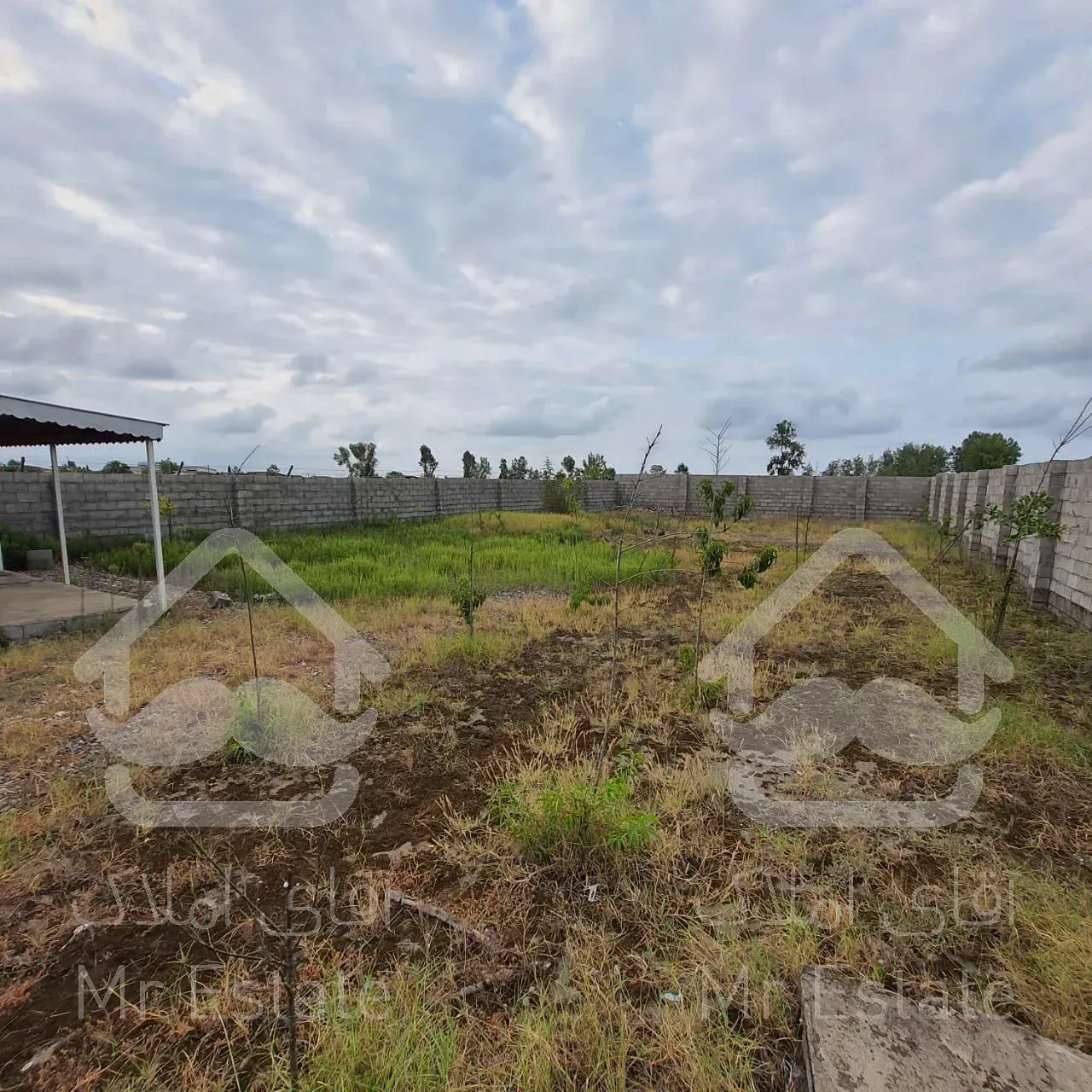 675 متر زمین ساحلی جهت ساخت ویلا