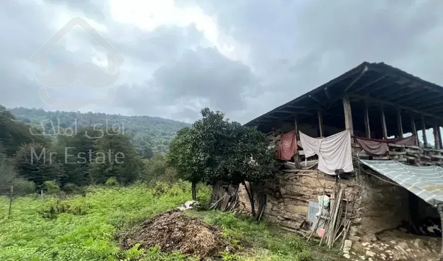 خانه تلار دار در دل کوه و جنگل جاده ماسوله