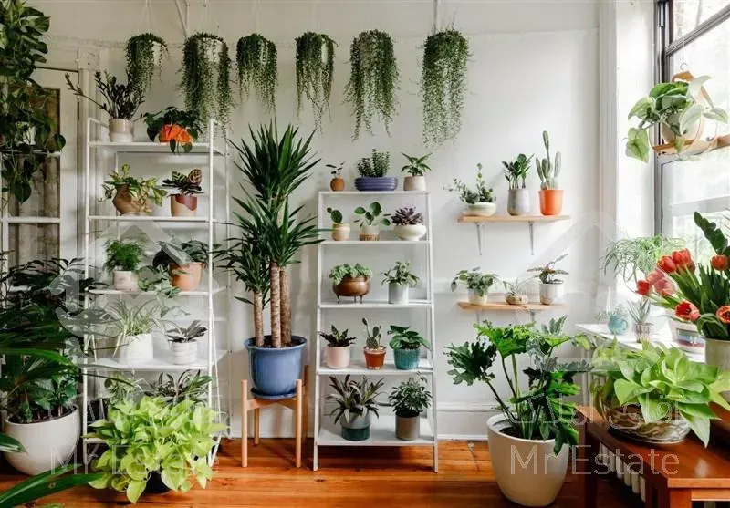 گل اپارتمانی باغچه ای محلات