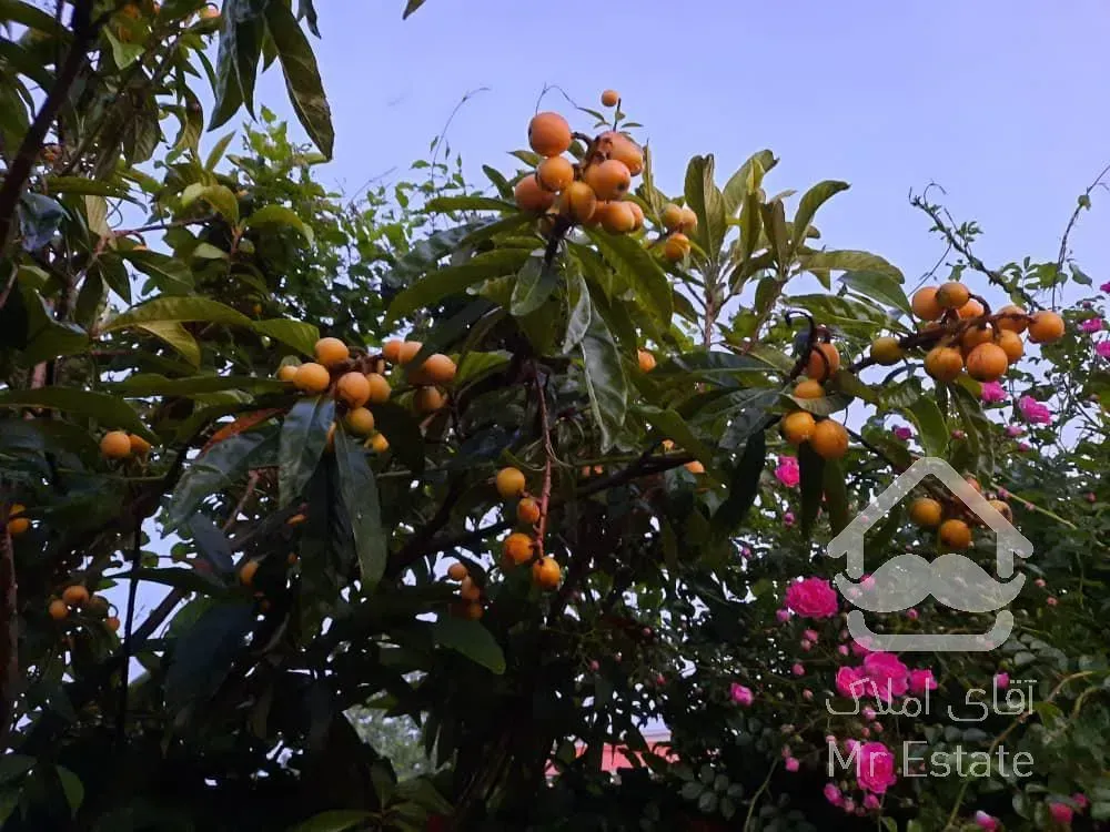 باغ ویلا قابل تهاتر