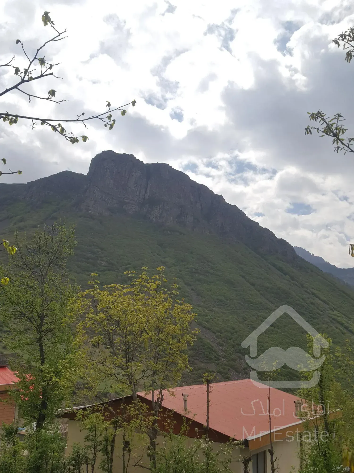 فروش زمین ییلاقی در روستای ولی آباد