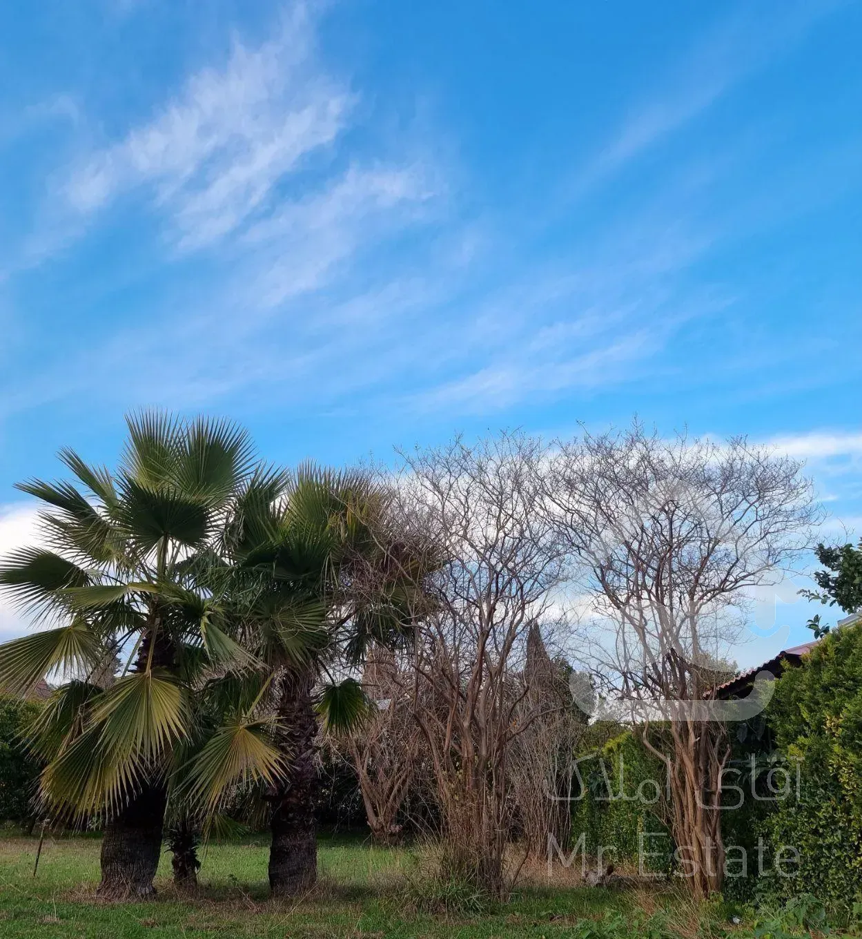 فروش زمین مسکونی در تاپ لوکیشن بافت جدید خزرشهر