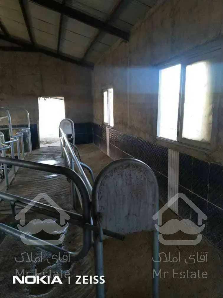 ♧♧گاوداری فعال با کلیه تجهیزات♧♧